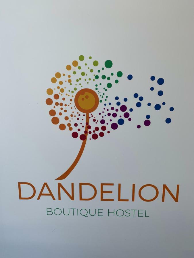 Dandelion Vandrerhjem Zadar Eksteriør bilde